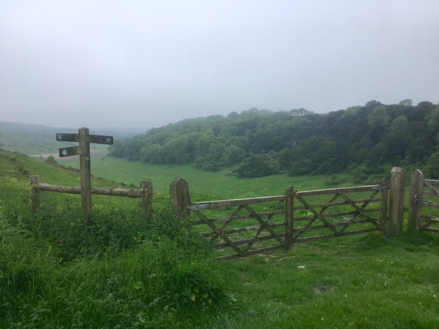 Misty Millpond Bottom, South Downs Way