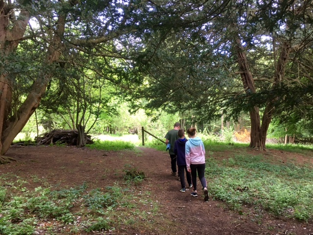 Walking through Homefield Wood