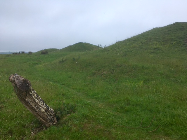 Devil's Jumps round barrows