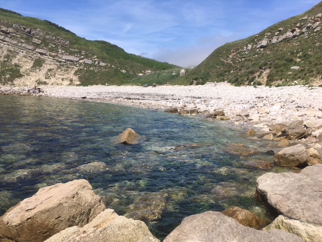 Pondfield Cove, Dorset