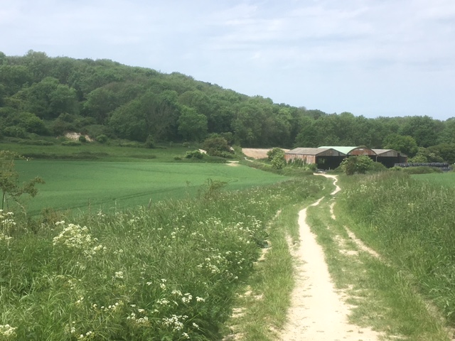 Looking back towards Westburton Hill