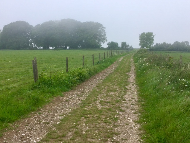 Walking up Cocking Down, South Downs Way