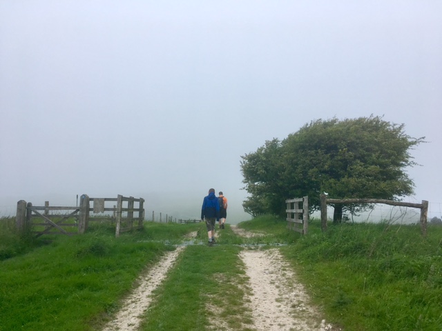 Near Beacon Hill on the South Downs Way