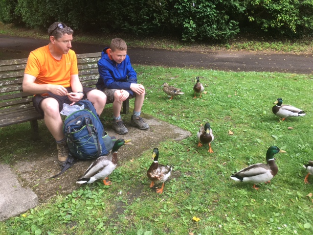 The ducks thought they'd get fed!