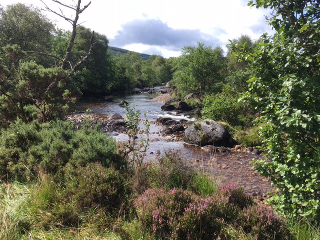 Ariundle Trail, near Strontian