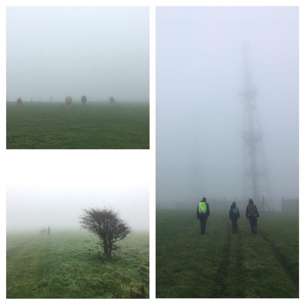 Misty walking on the South Downs Way