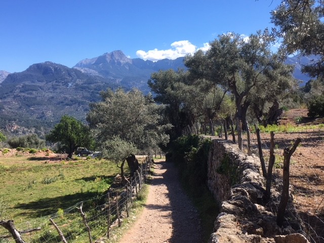 View from the GR221, near Soller