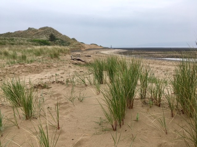 Whiteford Sands, Gower Peninsula
