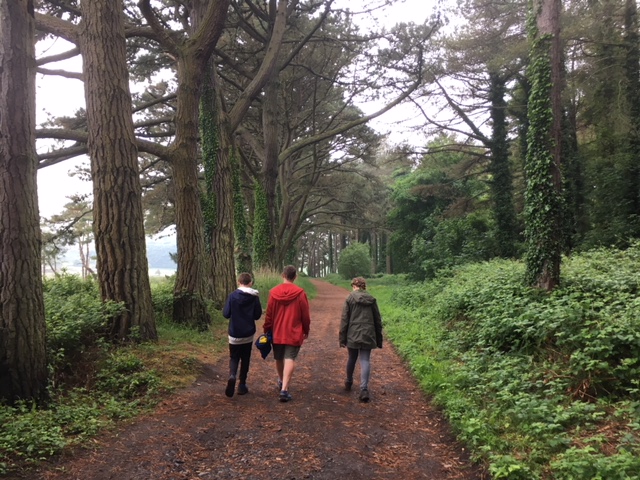 Whiteford nature reserve, Gower