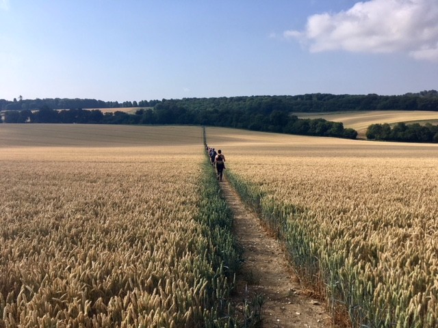 Race to the Stones