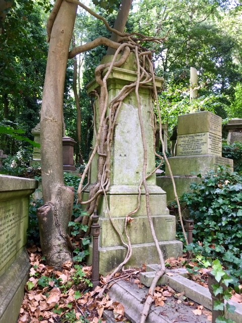 Nature taking over, Highgate cemetery