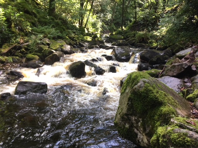 River Esk, en route to Stanley Ghyll Force