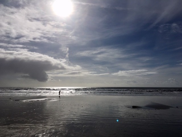 View from Charmouth beach