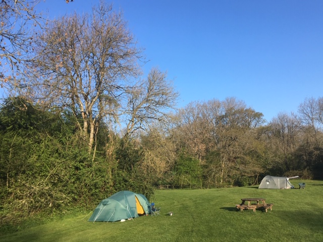 Pasture 3, Thistledown Farm campsite