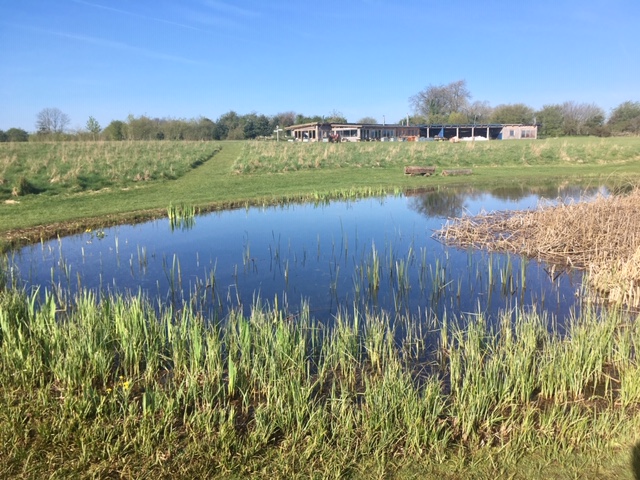 Thistledown pond and cafe