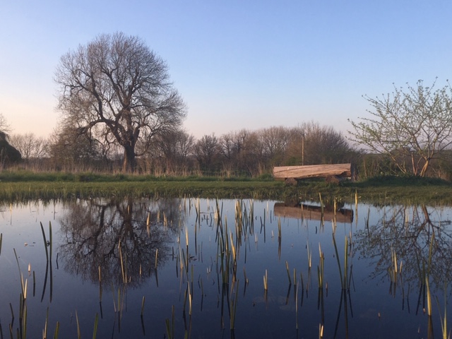 Thistledown Farm pond at sunset