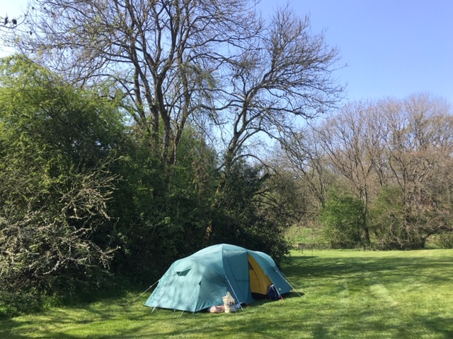 Our camping spot, Thistledown Farm