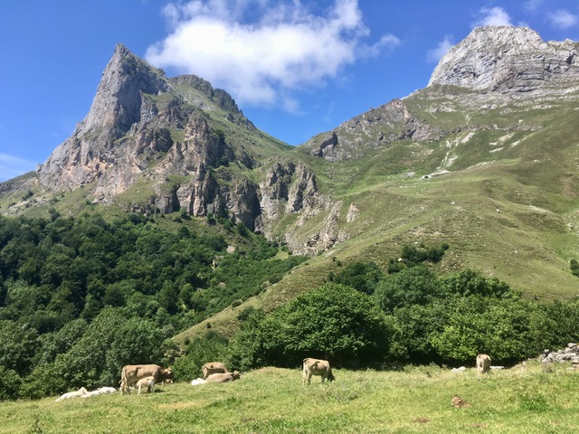 View from Invernales de Igüedri