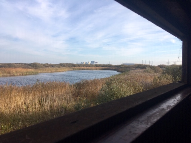 View from hide, RSPB Dungeness
