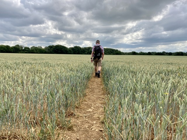 Day 4 on the Oxfordshire Way. One of many fields!