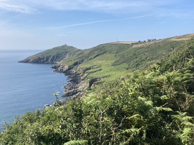 Rame head