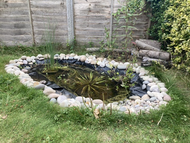 Garden pond