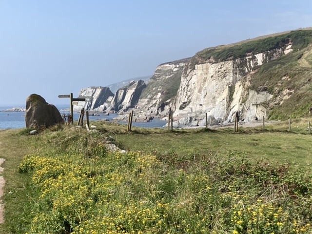 South Hams beach