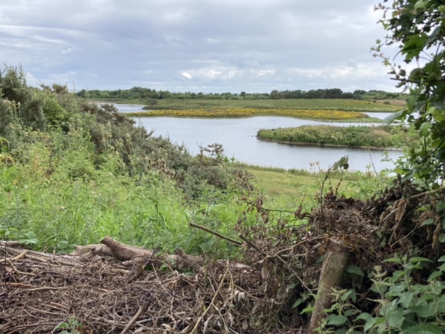 Hauxley Nature Reserve